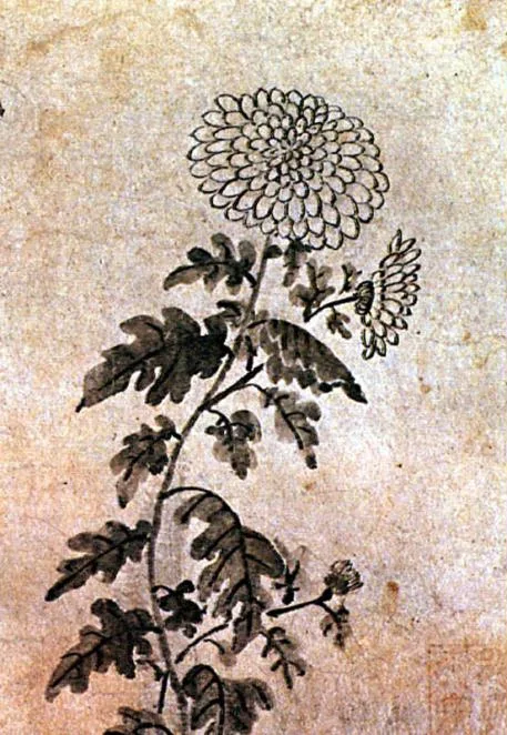 국화와 나비 — 신사임당