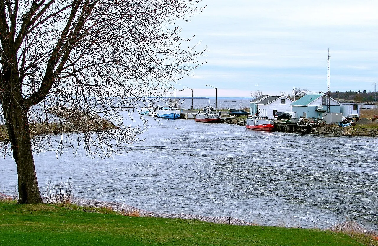 귀향 — 알마타데마